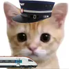 reilweycat