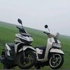 saridin_313