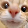 _huee07_