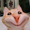 fshoo7