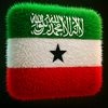 ziciidindhojacayl3