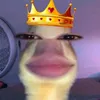 kaceywayne58