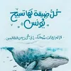 alialansari55