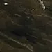 userm3ohauyke7