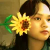 mab.dhie