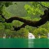 monahamed728
