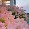 lediep5656