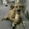 hakichmq