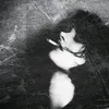s_jl_1