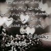 lolo0000971