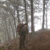 arifhidayad18