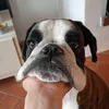 nica_matteo