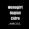 wonogiribagiancidro02