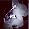 antoni_awsomes