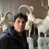 amanullahmehdi0