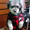 gabi_gmz1402