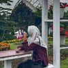 pena_alfath