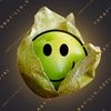 tomatillo_social