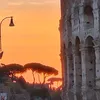 lauraamici557