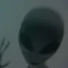 cindigo