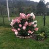 user7045882914697