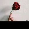 arham.abduljabbar