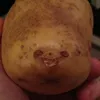 potato6864