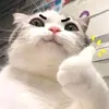 liamnek859
