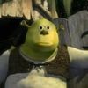 shrekshotwife1