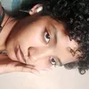 bellvett1