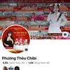 phuongtheuchibi