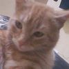 victor.03.04.07