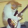 nnncayyw