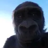 big_foot73