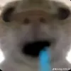 brtight.8