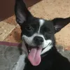 cunl3e