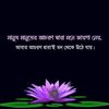 rimon50645000000