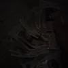tunnelvission2