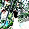 kieu.kieu1404