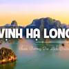 baichayhalong