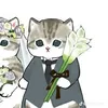 chip_cte134