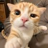 raawr12_