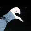 pglinhgp