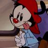 aaaa.tzy