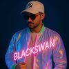 black24_swan