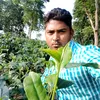 islamicjahidul593