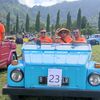 arielardianto86