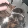 saaaantuuuu