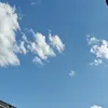 53luckyd