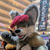 spartan_k9